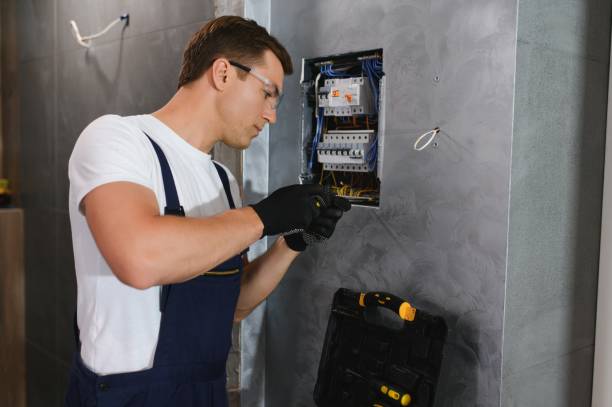 Best Electrician for Home Renovation  in St Elmo, IL