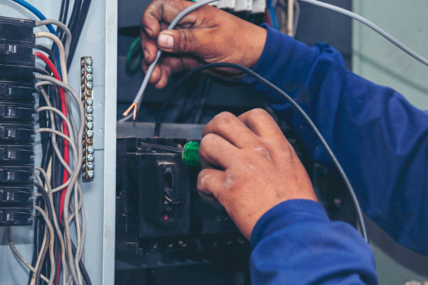 Best Electrical System Inspection  in St Elmo, IL